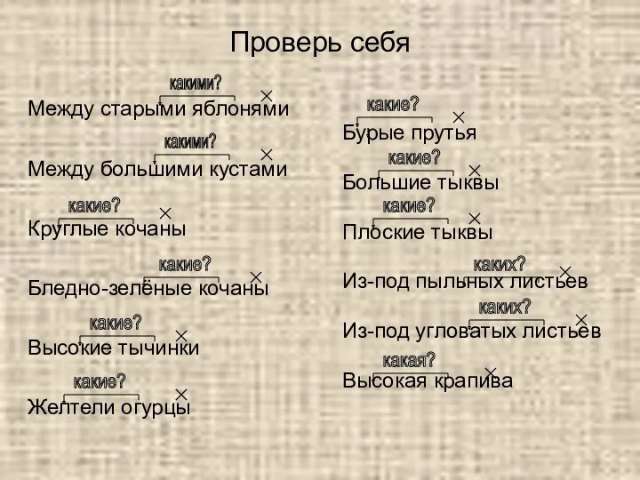 Проверь себя Между старыми яблонями Между большими кустами Круглые кочаны