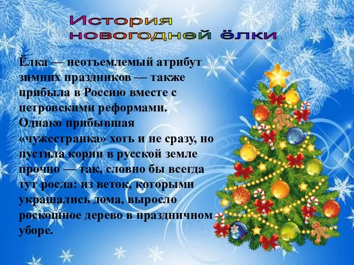 Ёлка — неотъемлемый атрибут зимних праздников — также прибыла в Россию вместе с