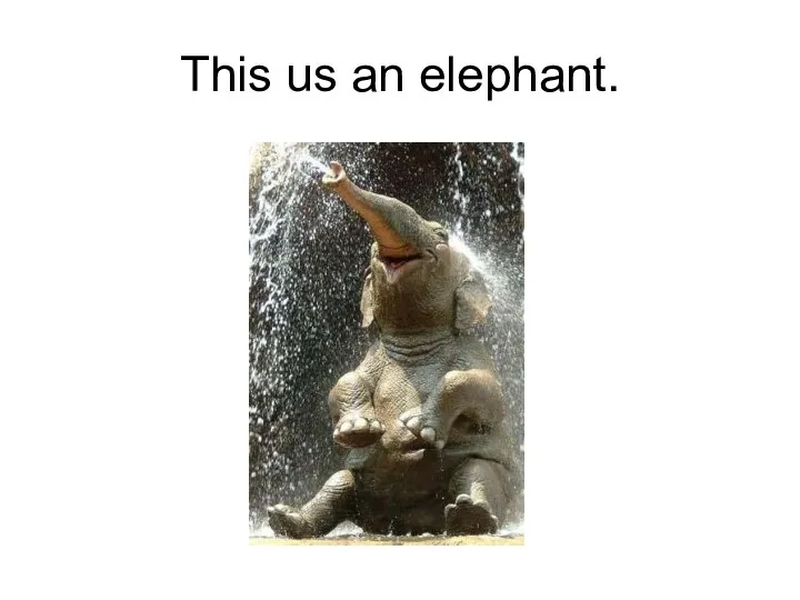 This us an elephant.