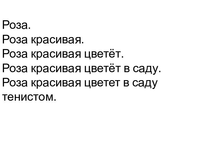 Роза. Роза красивая. Роза красивая цветёт. Роза красивая цветёт в