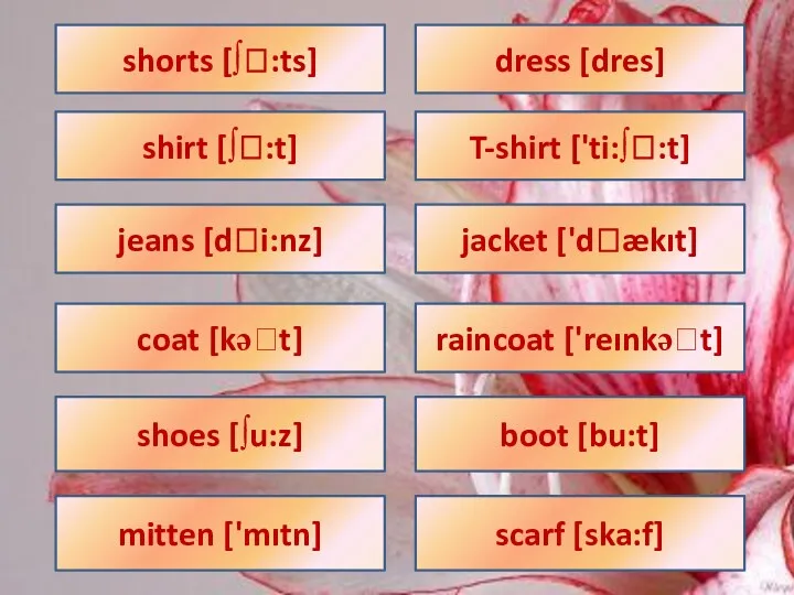 dress [dres] T-shirt ['ti:∫:t] jacket ['dækıt] coat [kət] shoes [∫u:z] mitten ['mıtn] raincoat