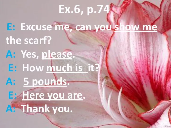Ex.6, p.74 E: Excuse me, can you show me the scarf? A: Yes,
