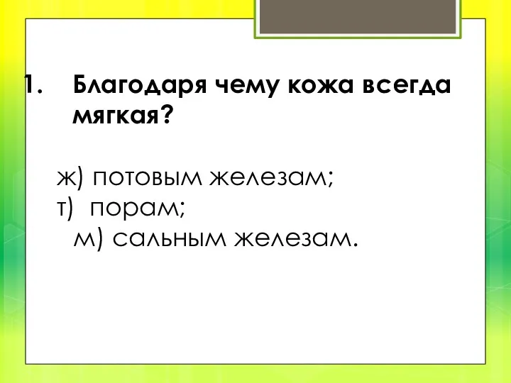 Благодаря чему кожа всегда мягкая? ж) потовым железам; т) порам; м) сальным железам.