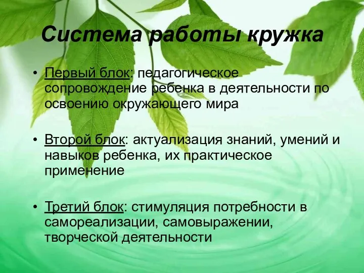 Система работы кружка Первый блок: педагогическое сопровождение ребенка в деятельности по освоению окружающего