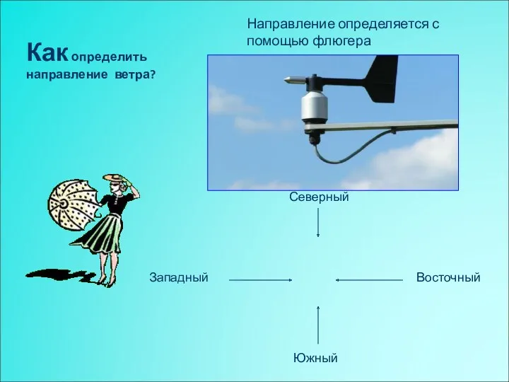 Как определить направление ветра? Направление определяется с помощью флюгера Северный Южный Западный Восточный