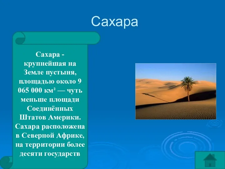 Сахара Сахара - крупнейшая на Земле пустыня, площадью около 9 065 000 км²