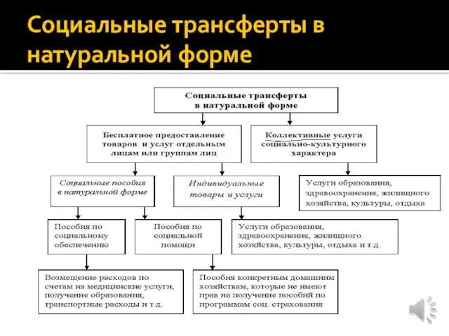 Социальные трансферты в натуральной форме