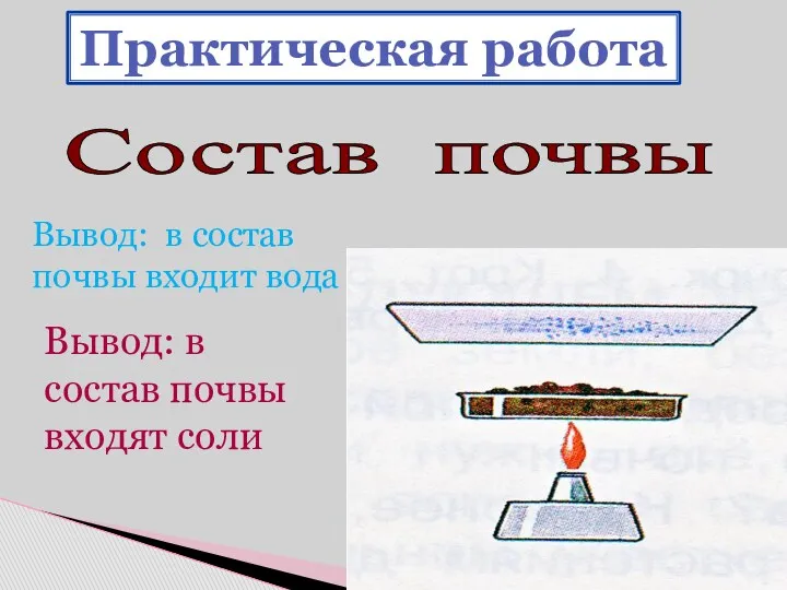 Состав почвы Практическая работа Вывод: в состав почвы входит вода Вывод: в состав почвы входят соли