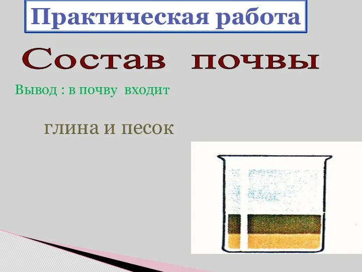 Состав почвы Практическая работа Вывод : в почву входит глина и песок