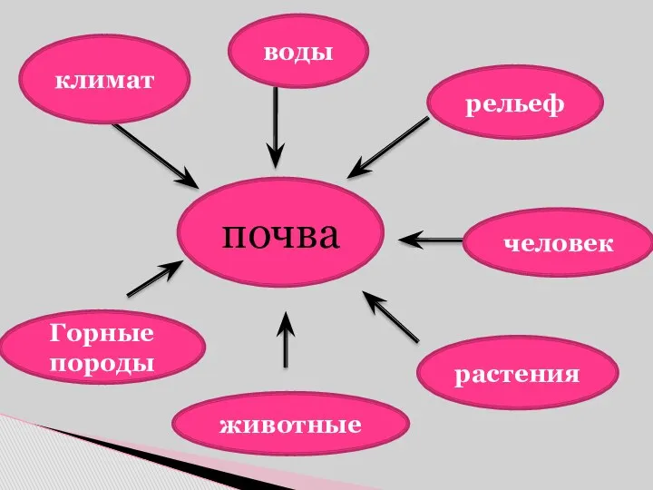 почва воды Горные породы климат человек рельеф животные растения