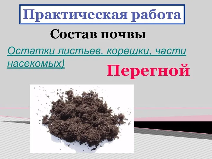 Остатки листьев, корешки, части насекомых) Практическая работа Состав почвы Перегной