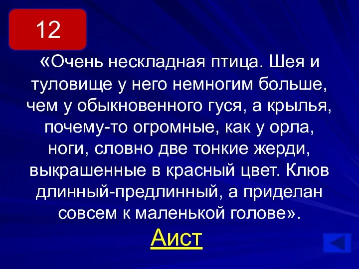 «Очень нескладная птица. Шея и туловище у него немногим больше,