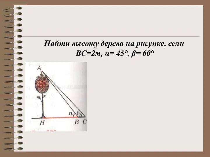 Измерение высоты предмета Найти высоту дерева на рисунке, если ВС=2м, α= 45°, β= 60°