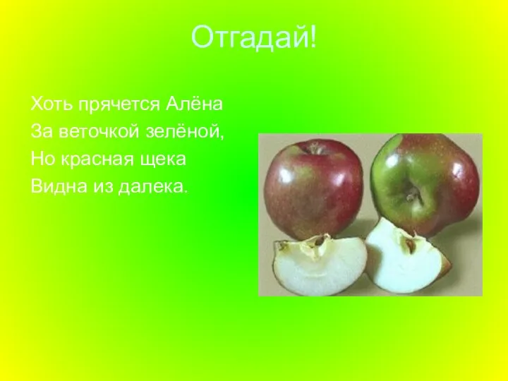 Отгадай! Хоть прячется Алёна За веточкой зелёной, Но красная щека Видна из далека.