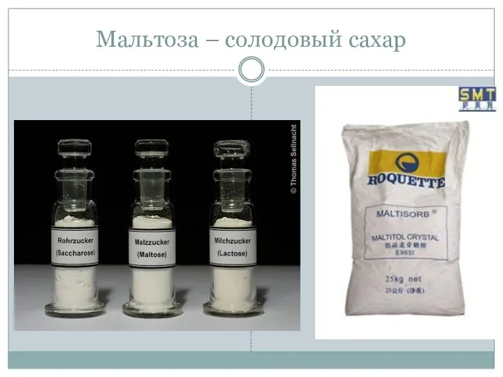 Мальтоза – солодовый сахар