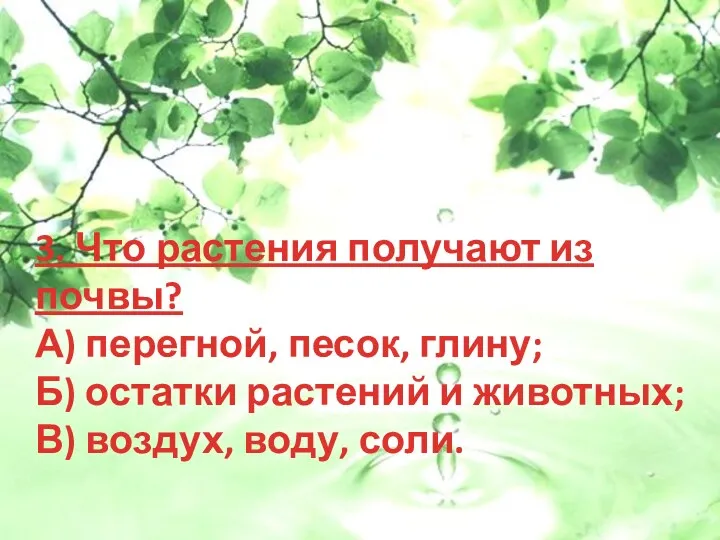 3. Что растения получают из почвы? А) перегной, песок, глину;