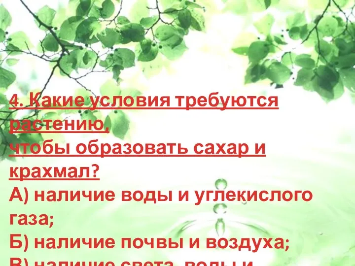 4. Какие условия требуются растению, чтобы образовать сахар и крахмал?