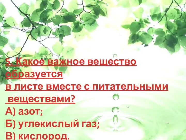 5. Какое важное вещество образуется в листе вместе с питательными