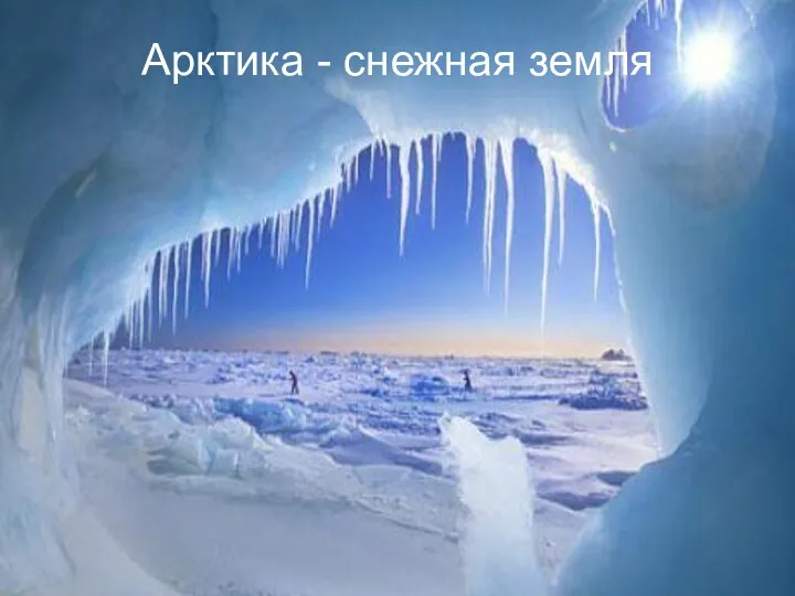 Арктика - снежная земля