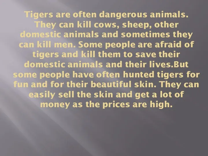 Tigers are often dangerous animals. They can kill cows, sheep,