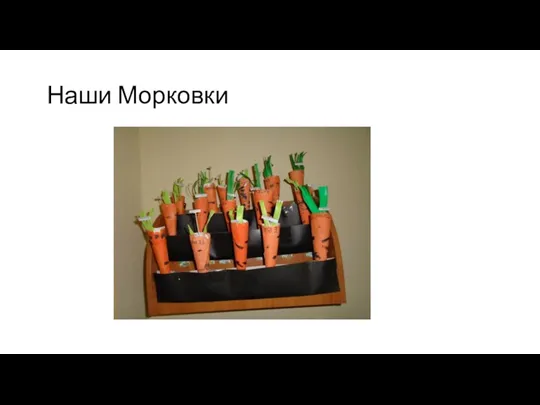 Наши Морковки