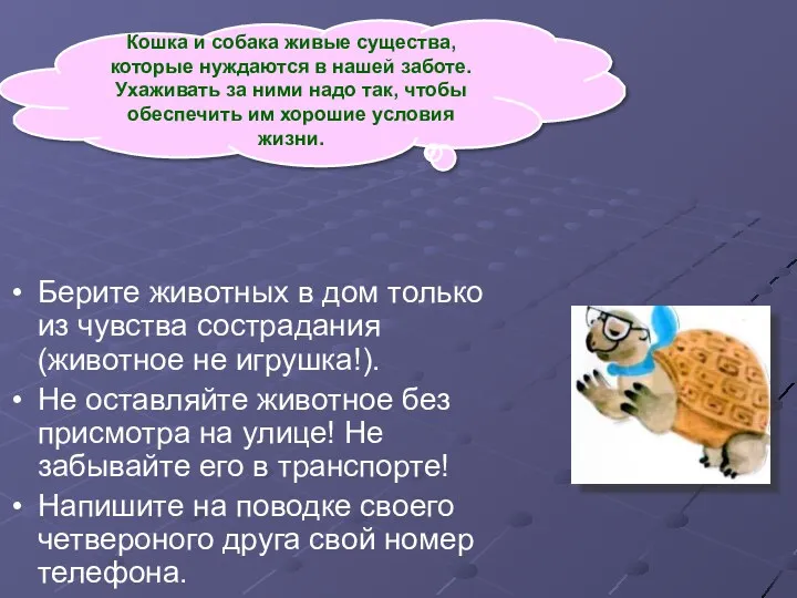 Кошка и собака живые существа, которые нуждаются в нашей заботе.