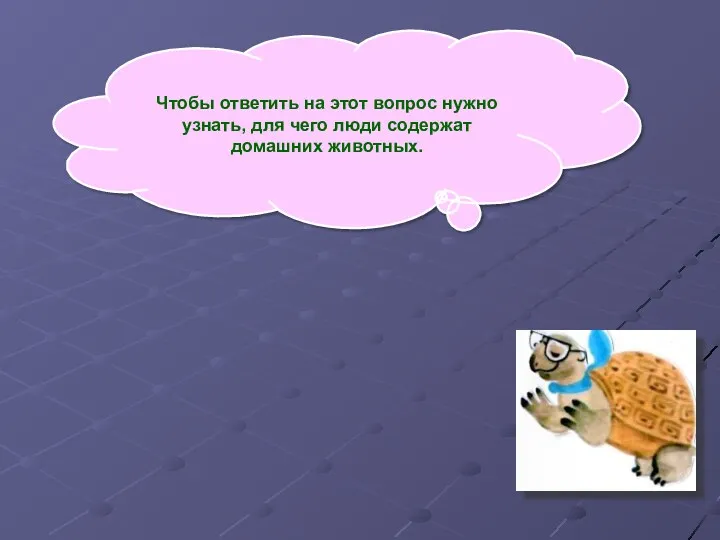 Чтобы ответить на этот вопрос нужно узнать, для чего люди содержат домашних животных.