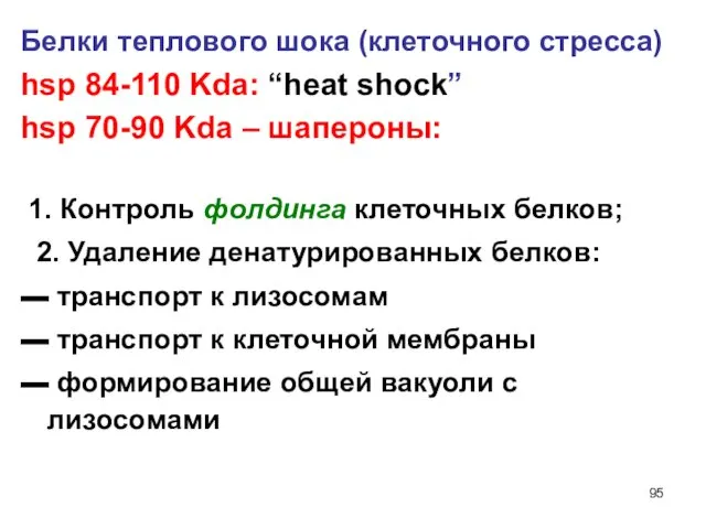 Белки теплового шока (клеточного стресса) hsp 84-110 Kda: “heat shock”