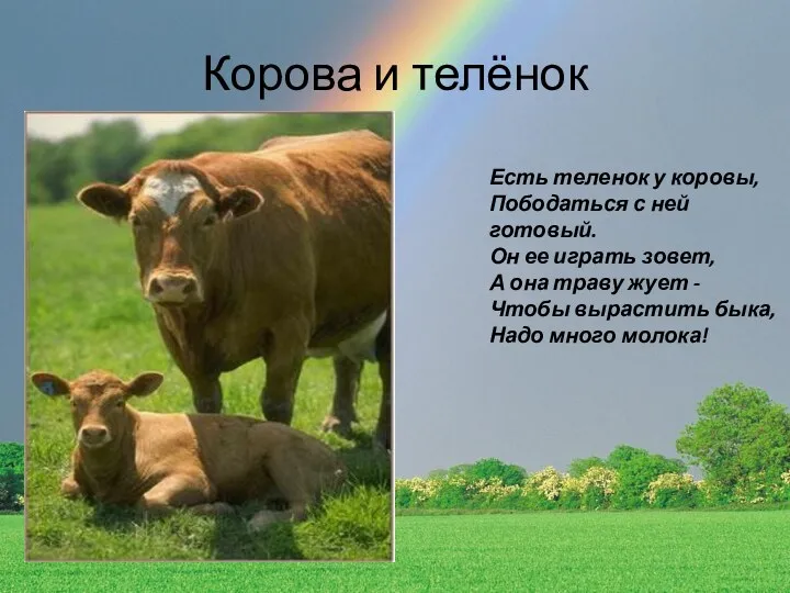 Корова и телёнок Есть теленок у коровы, Пободаться с ней