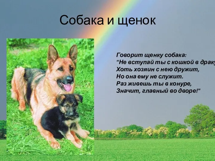 Собака и щенок Говорит щенку собака: "Не вступай ты с