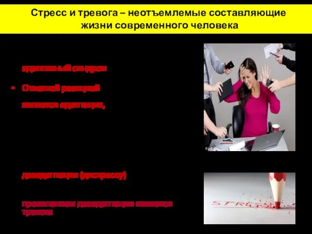 Ежедневный стресс из 14 эпизодов – допустимая норма, рассматриваемая как адаптивный синдром Ответной