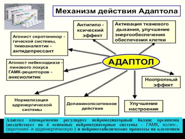 Адаптол одновременно регулирует нейромедиаторный баланс организма (воздействует на 4 основные