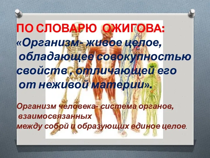 ПО СЛОВАРЮ ОЖИГОВА: «Организм- живое целое, обладающее совокупностью свойств ,