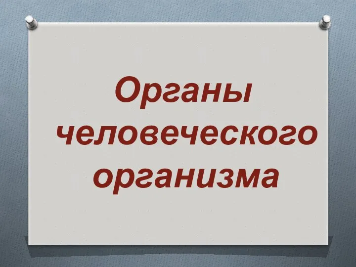 Органы человеческого организма