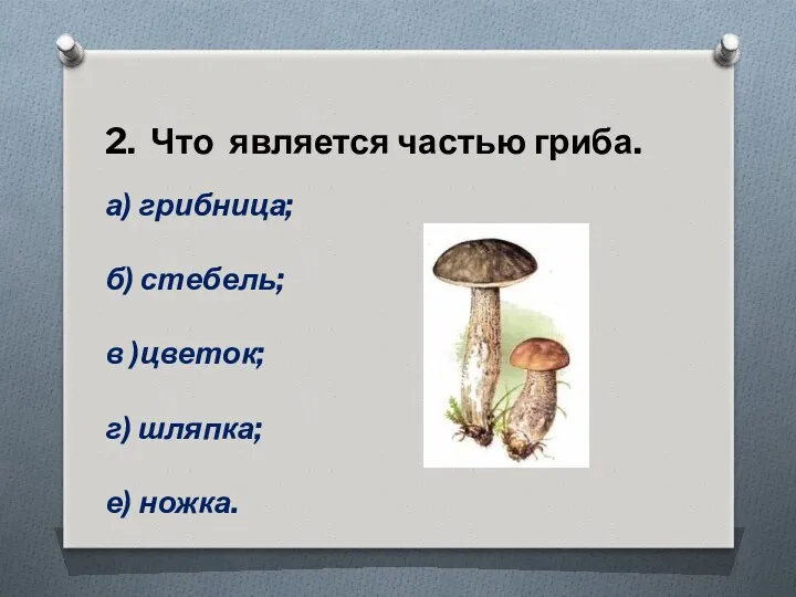 2. Что является частью гриба. а) грибница; б) стебель; в )цветок; г) шляпка; е) ножка.