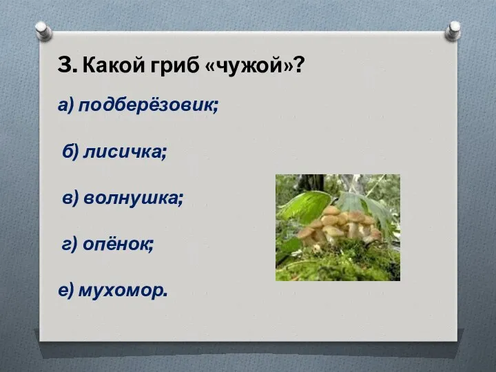 3. Какой гриб «чужой»? а) подберёзовик; б) лисичка; в) волнушка; г) опёнок; е) мухомор.