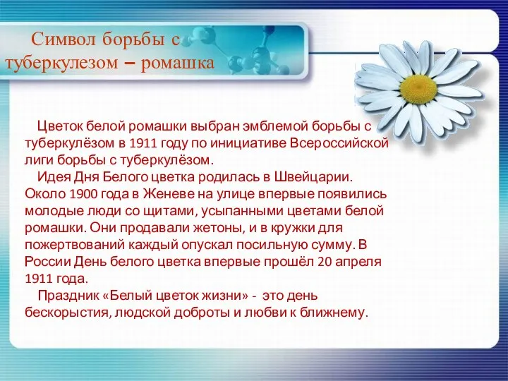 Цветок белой ромашки выбран эмблемой борьбы с туберкулёзом в 1911 году по инициативе