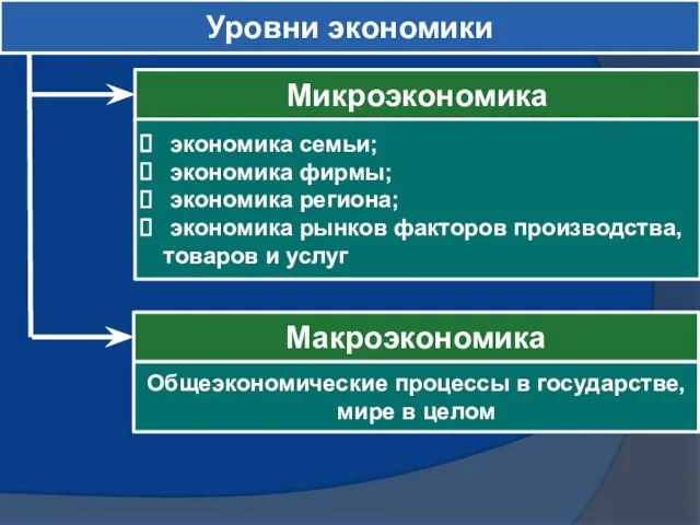 Уровни экономики Микроэкономика Макроэкономика экономика семьи; экономика фирмы; экономика региона;