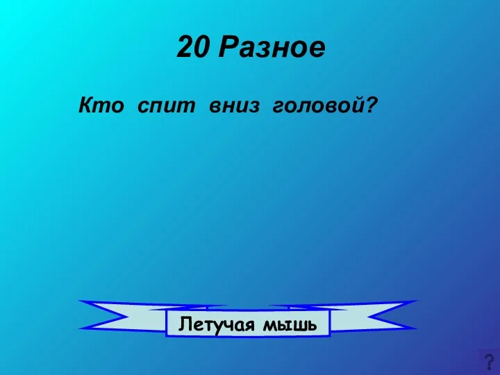 20 Разное Кто спит вниз головой? Летучая мышь