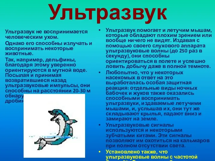 Ультразвук Ультразвук не воспринимается человеческим ухом. Однако его способны излучать