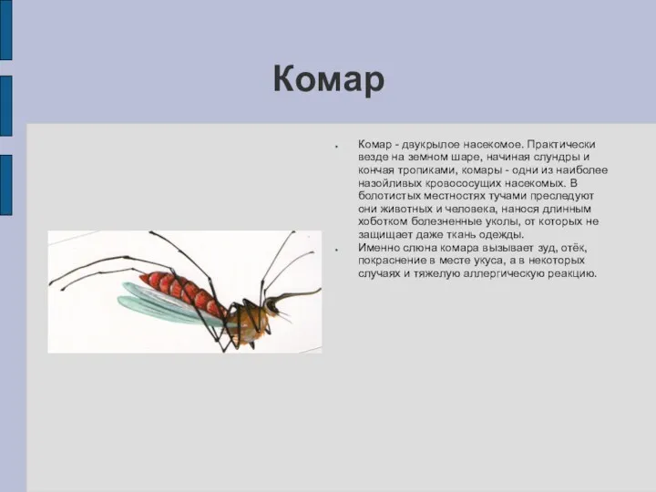 Комар Комар - двукрылое насекомое. Практически везде на земном шаре, начиная слундры и