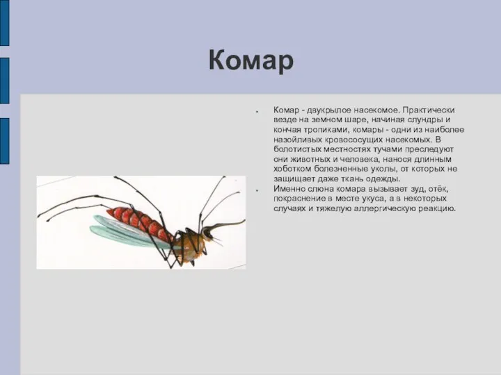 Комар Комар - двукрылое насекомое. Практически везде на земном шаре,