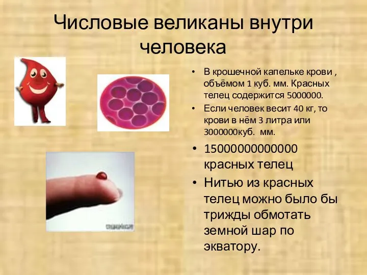 Числовые великаны внутри человека В крошечной капельке крови , объёмом 1 куб. мм.