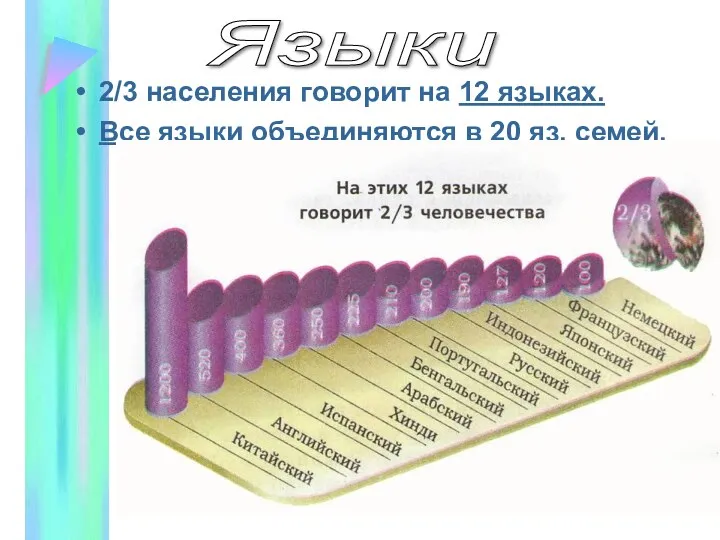 2/3 населения говорит на 12 языках. Все языки объединяются в 20 яз. семей. Языки