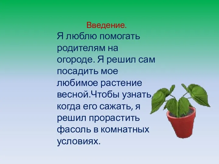 Введение. Я люблю помогать родителям на огороде. Я решил сам посадить мое любимое