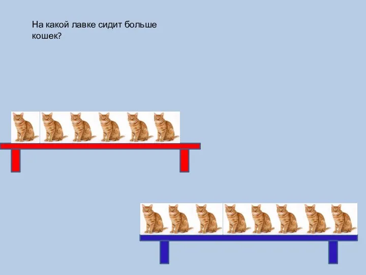 На какой лавке сидит больше кошек?