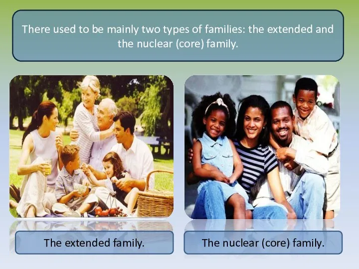 There used to be mainly two types of families: the extended and the