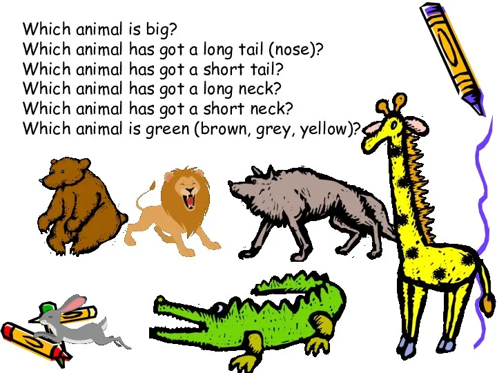 Which animal is big? Which animal has got a long tail (nose)? Which