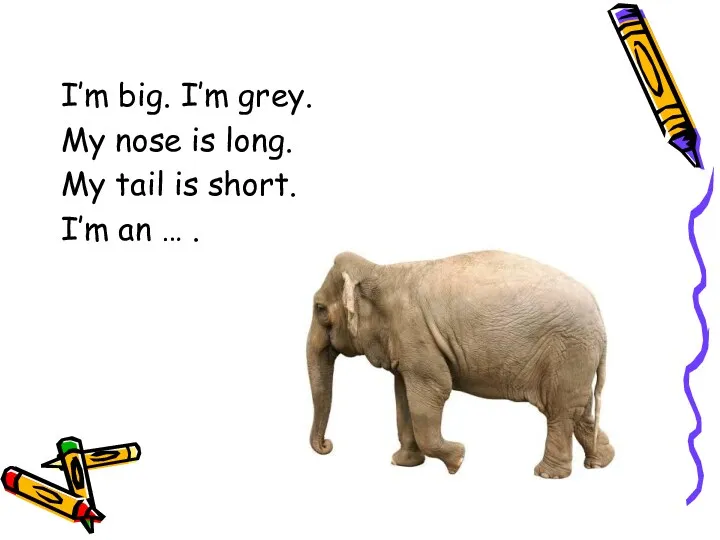 I’m big. I’m grey. My nose is long. My tail is short. I’m an … .