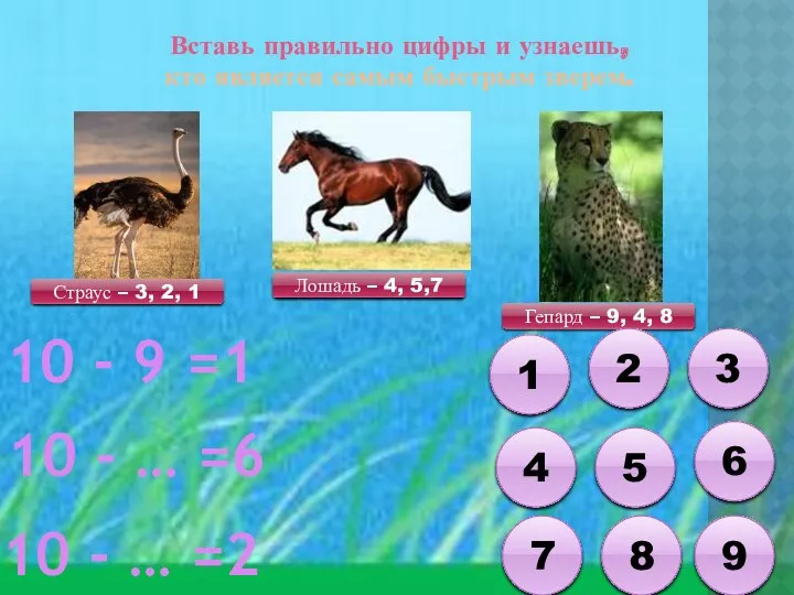 Вставь правильно цифры и узнаешь, кто является самым быстрым зверем.